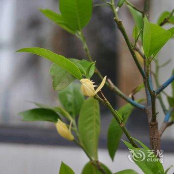 重庆花间别院特色民宿酒店提供图片