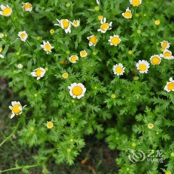 重庆花间别院特色民宿酒店提供图片