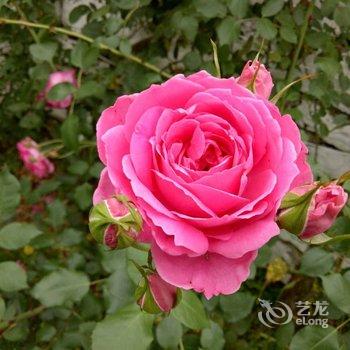 重庆花间别院特色民宿酒店提供图片