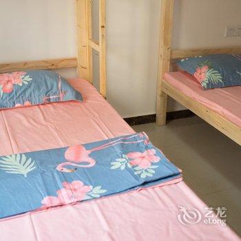 广州67火烈鸟主题青年民宿酒店提供图片