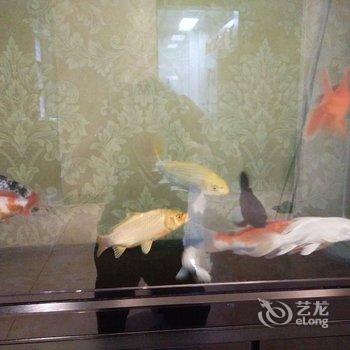 锦州偶然相遇公寓酒店提供图片