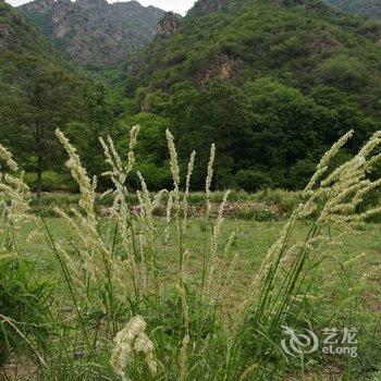 野三坡在山家民宿酒店提供图片