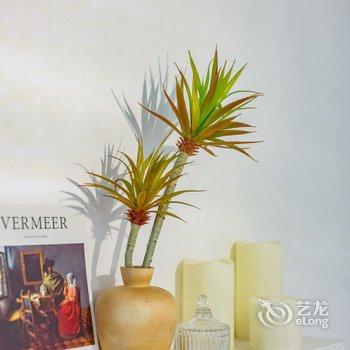成都刘怡晨Albee公寓(自然乐园分店)酒店提供图片