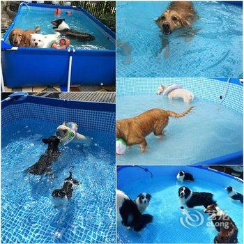 北京聚桐墅小院(南沟村店)酒店提供图片