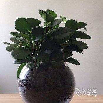 周博公寓(北京中路北一路店)酒店提供图片