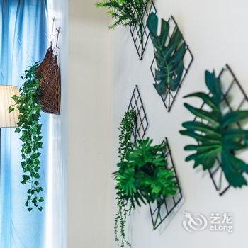 成都星星家民宿(法云庵路分店)酒店提供图片