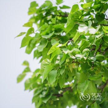丛前有座山客栈(北京靳家堡村店)酒店提供图片
