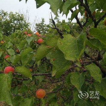 有你就好民宿(北京撞道口村店)酒店提供图片