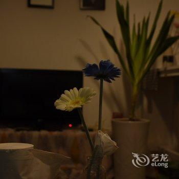 重庆可乐鱼的小家公寓(天主教若瑟堂分店)酒店提供图片