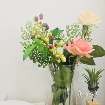 秦倌公寓(西安六合窑村店)酒店提供图片