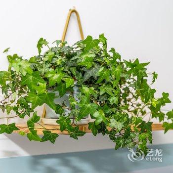 广州大猫(00136020)公寓(云桂村分店)酒店提供图片