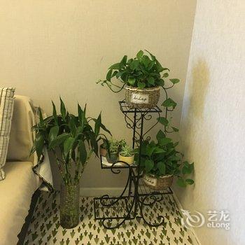成都羊羊羊的花样年公寓酒店提供图片