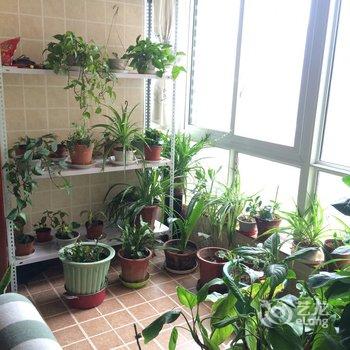 柳叶安妮公寓(西安建平路店)酒店提供图片