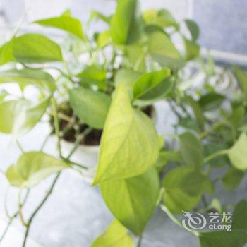插画师公寓(西安潘家庄村店)酒店提供图片