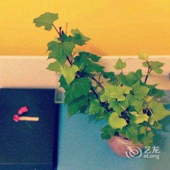 成都泡沫公寓(宽巷子分店)酒店提供图片