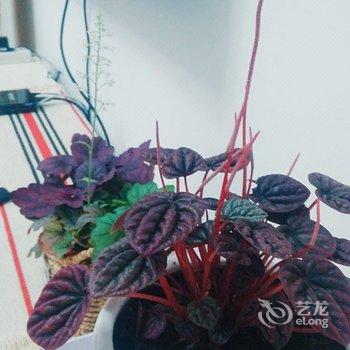 西安咪萌公寓(八府庄园商业街分店)酒店提供图片