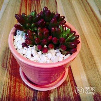 西安静医生的小屋公寓(西安中国画院分店)酒店提供图片