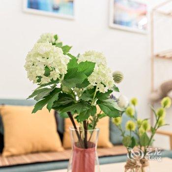 ����Fox.Lo��Ԣ(�����̾����÷ֵ�)�Ƶ��ṩͼƬ