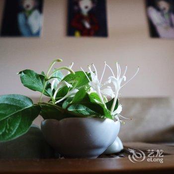 重庆野路子公寓酒店提供图片