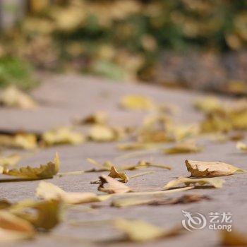 重庆野路子公寓酒店提供图片