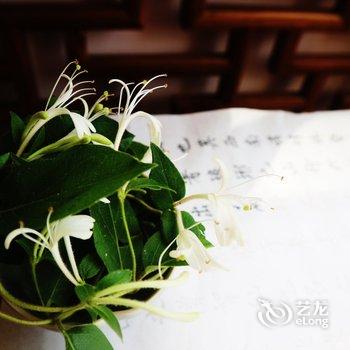 重庆野路子公寓酒店提供图片