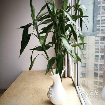 重庆康哥公寓酒店提供图片