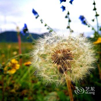 德钦飞来寺缅茨姆商务酒店酒店提供图片