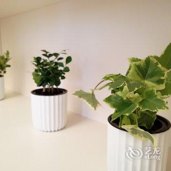 成都傻麻丸公寓(旅游百事通分店)酒店提供图片