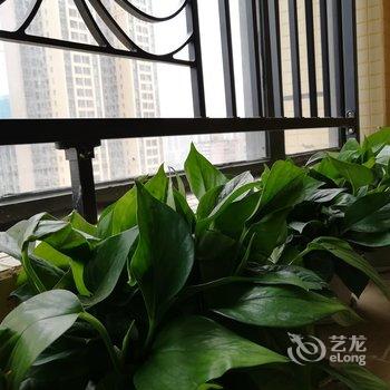 成都傻麻丸公寓(旅游百事通分店)酒店提供图片
