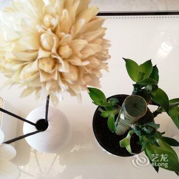 成都傻麻丸公寓(旅游百事通分店)酒店提供图片