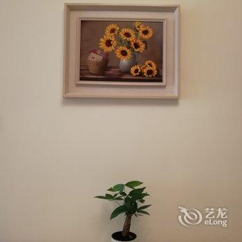 成都傻麻丸公寓(旅游百事通分店)酒店提供图片