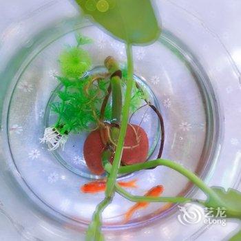 重庆甜甜的家精品民宿(袁家岗村分店)酒店提供图片