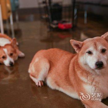 重庆良驻国际行旅青年旅舍酒店提供图片