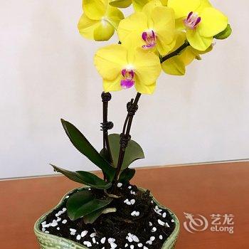 重庆Romain的美好时光公寓酒店提供图片