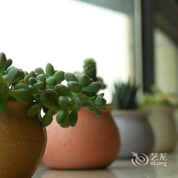 成都snoopy小哥哥公寓(跳蹬村分店)酒店提供图片