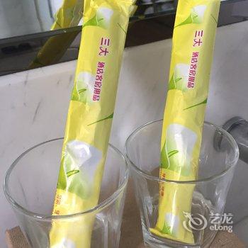 广州LB梁兵度假别墅酒店提供图片