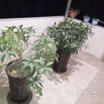 成都花溪缘公寓酒店提供图片