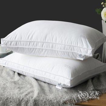 西安鲜衣怒马天涯仗剑公寓酒店提供图片