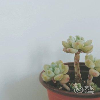 成都桑圆公寓酒店提供图片