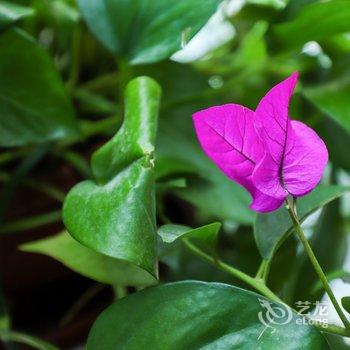 �ɶ����ҹ�Ԣ(���ΰ���ͨ�ֵ�)�Ƶ��ṩͼƬ