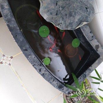 ����ȫ��ͨ��Ԣ�Ƶ��ṩͼƬ