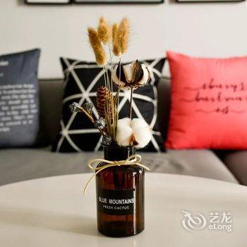 成都Sean大龄少年公寓(儿童乐园分店)酒店提供图片