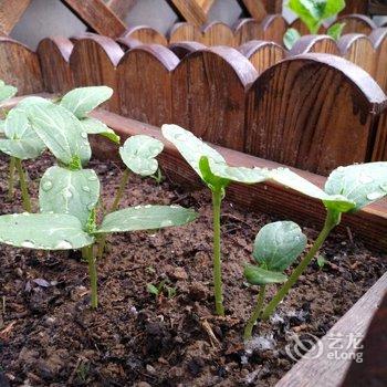 Vivi999别墅(北京马安村店)酒店提供图片