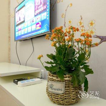 成都Smile之家公寓(大象分店)酒店提供图片