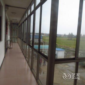 上海崇明顾伯伯农家民宿(崇明区博物馆分店)酒店提供图片