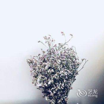 重庆疯一样的女子公寓(沙坪公园-儿童乐园分店)酒店提供图片