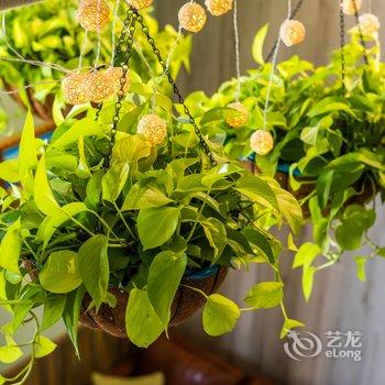 广州途掌柜·长隆旅游度假区公寓(宏韵景观分店)酒店提供图片