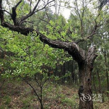 北京空山小院酒店提供图片