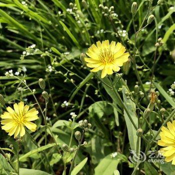 北京空山小院酒店提供图片