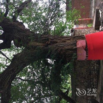 百里画廊村儿里家酒店提供图片